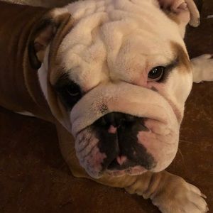 Meet your Posher, Debra